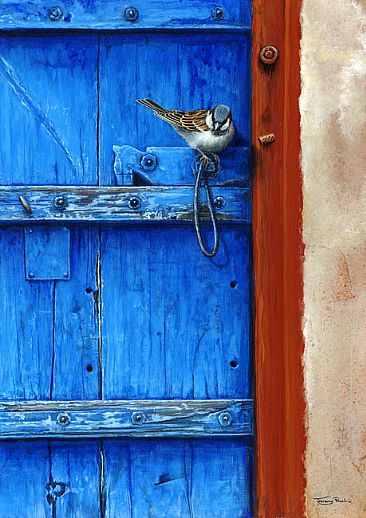 Rajasthan door - house sparrow -  by Jeremy Paul