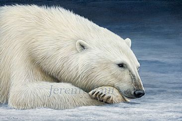 watching and waiting - polar bear by Jeremy Paul