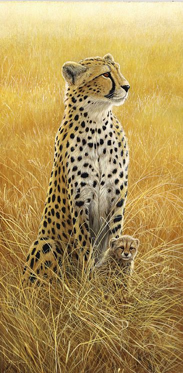 Alert - cheetah and cub - serengetti by Jeremy Paul