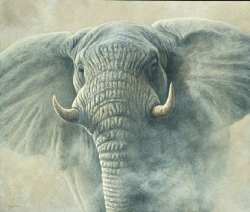 'Storm' - Kruger Elephant by Jeremy Paul