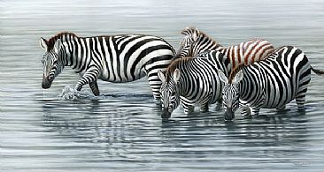 Mara water-hole  - zebra by Jeremy Paul