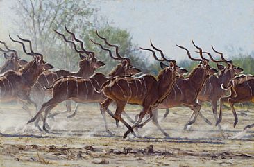 Bachelor Herd -  by John Banovich