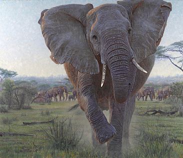 Bad Day - Charging Elephant - Commission for Tom Siebel by John Banovich