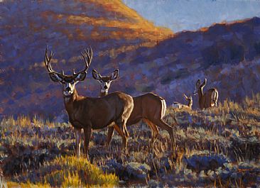 Big Muley -  by John Banovich