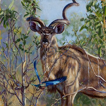 Kudu and Lilac Breasted Roller -  by John Banovich