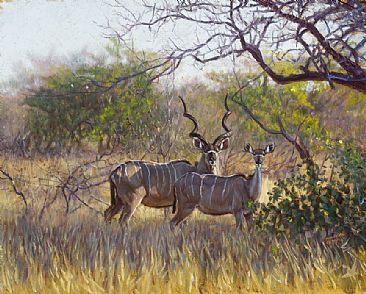 Kudu in the Lowveld -  by John Banovich