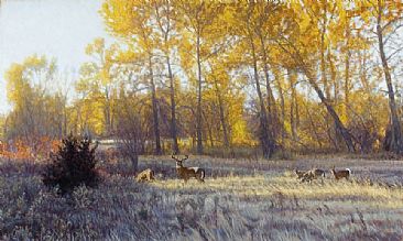 Montana Gold -  by John Banovich