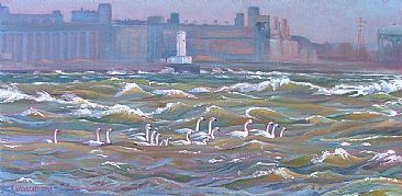 Tundra Swans on Windy Lake Erie - birds, Tundra Swans, Lake Erie by Aleta Karstad