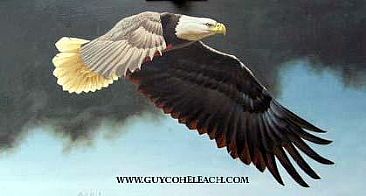 American Eagle - Eagle by Guy Coheleach