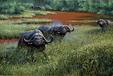 WV Cape Buffalo -  by Guy Coheleach