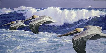 Seacoast Pelicans -  by Guy Coheleach
