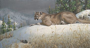 Puma View -  by Guy Coheleach