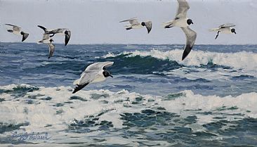 Cruising Gulls -  by Guy Coheleach