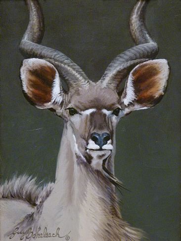Kudu Head -  by Guy Coheleach