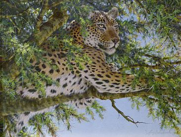Leopard Veiwing -  by Guy Coheleach