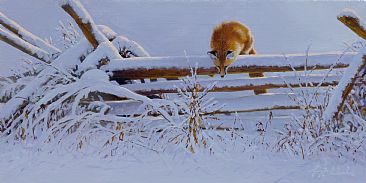 On The Fense -  by Guy Coheleach