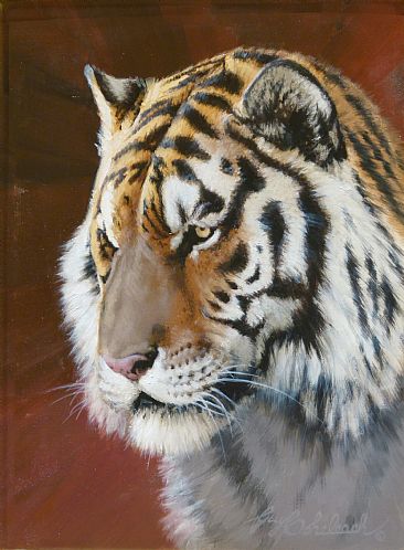 Tigerhead Sketch -  by Guy Coheleach