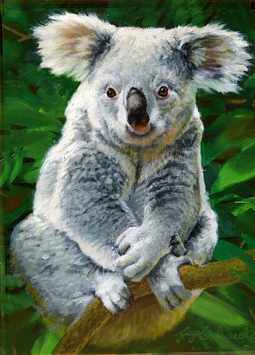 Koala Bear Sketch -  by Guy Coheleach