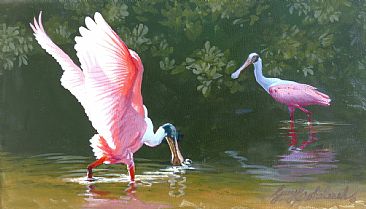 Spoonbills Sketch 4 - Roseate Spoonbill by Guy Coheleach