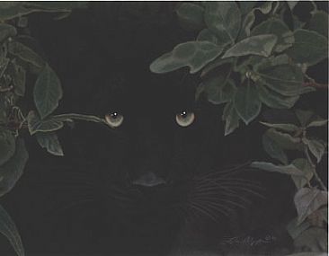 Invisible Presence - Jaguar by Leslie Delgyer