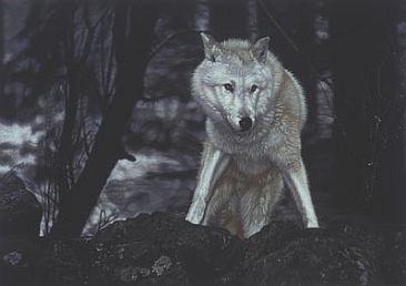 The Apparition - Wolf by Leslie Delgyer