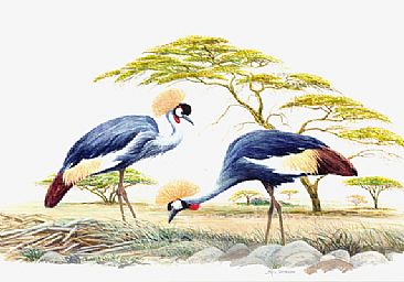 Crested Cranes -  by Mel Dobson