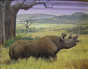 Rhino Country -  by Mel Dobson