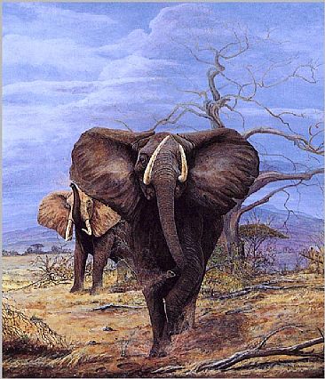 AL107  Uhuru! - African Elephants by Mel Dobson