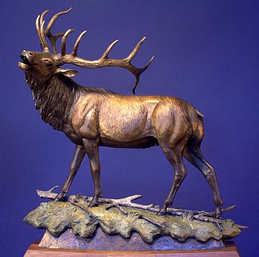 AUTUMNS CHALLENGE - Bull Elk  by Chris Navarro