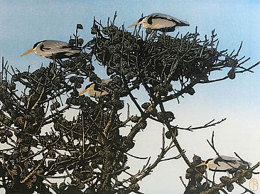 Heron Nest - Nesting Herons by Andrea Rich