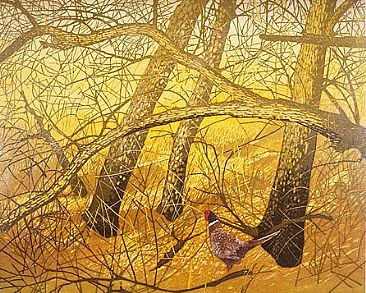 Pheasant - pheasant by Andrea Rich