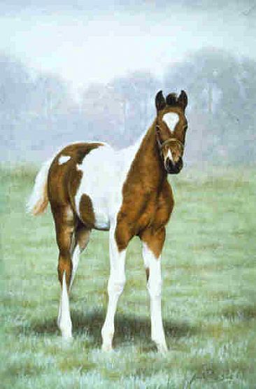 Fresh Paint - Paint Foal by Jeanne Filler Scott