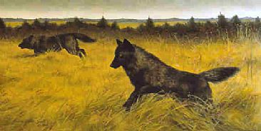 MousingTimber Wolves  - Timber Wolves by Jeanne Filler Scott