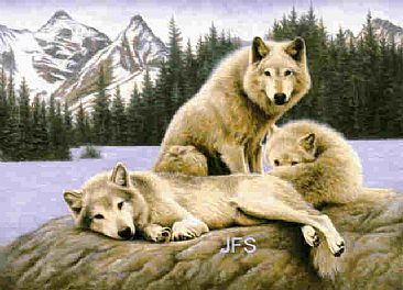 Mack and the Boys - Wolves by Jeanne Filler Scott