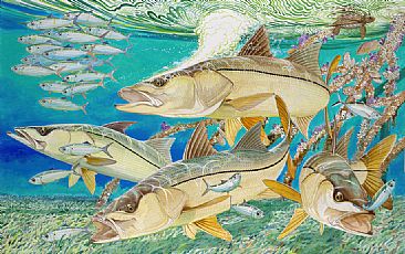 Side-Liners - Snook swimming in the Mangroves by Guy Harvey