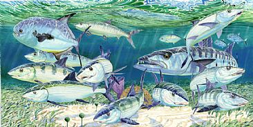 Skinny Waters - Bonefish, Permit and Barracuda  by Guy Harvey