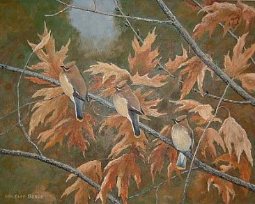 Waxwings and oak leaves - Cedar waxwings by William Berge
