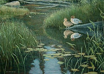 Reflections - Green wing teals by William Berge