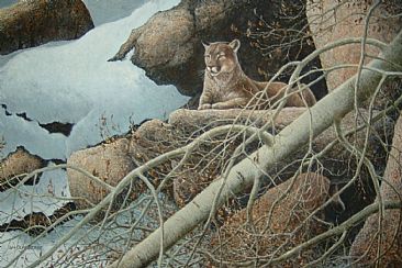 Windfall - Eastern cougar by William Berge
