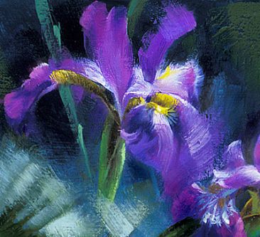 Yellowthroat & Iris (close-up view) -  by Jay Johnson