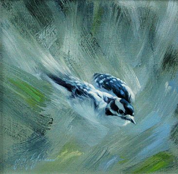 Downy Woodpecker -  by Jay Johnson