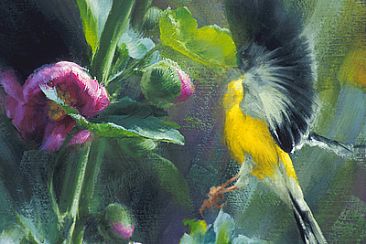Goldfinches & Hollyhocks (close-up) -  by Jay Johnson