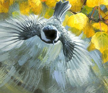 Aspen Chickadee (close-up) -  by Jay Johnson