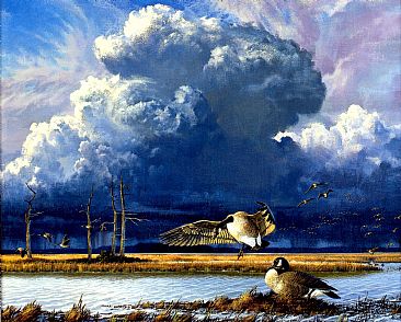 Approaching Storm - Canada Geese by Robert Kray