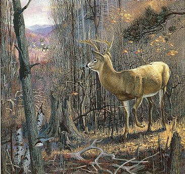 Make My Day - Whitetail Deer by Robert Kray