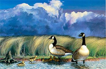 Bracing for the Giant - Canada Geese by Robert Kray