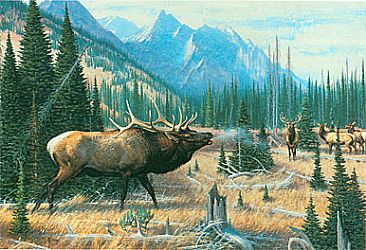 Battle Cry - Elk by Robert Kray