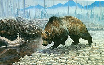 Silvertip's Pool - Grizzly Bear by Robert Kray