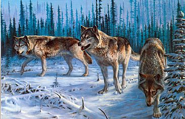 Wilderness Spirits - Wolves by Robert Kray