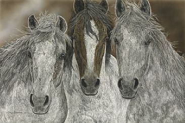 The Misfits - Horse/Native by Judy Larson